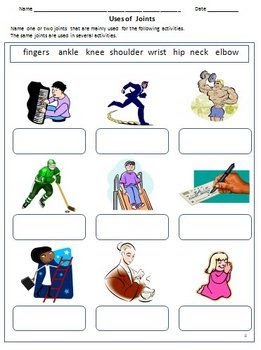 The Human Body Worksheets For 2nd Grade - arleighnews
