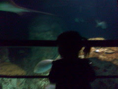 Celeste in the Big Tank