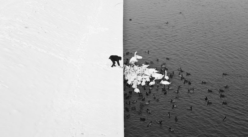 http://twistedsifter.com/2013/02/winter-contrast-in-krakow-black-white/