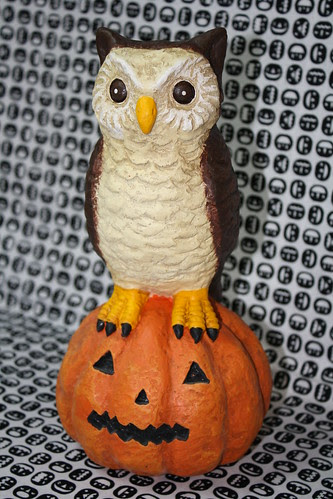 Owl