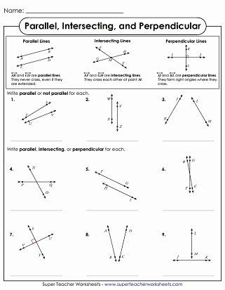 Perpendicular Lines Worksheet - worksheet