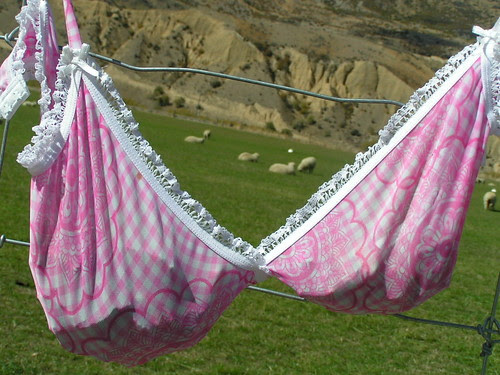 pink bra on the bra fence