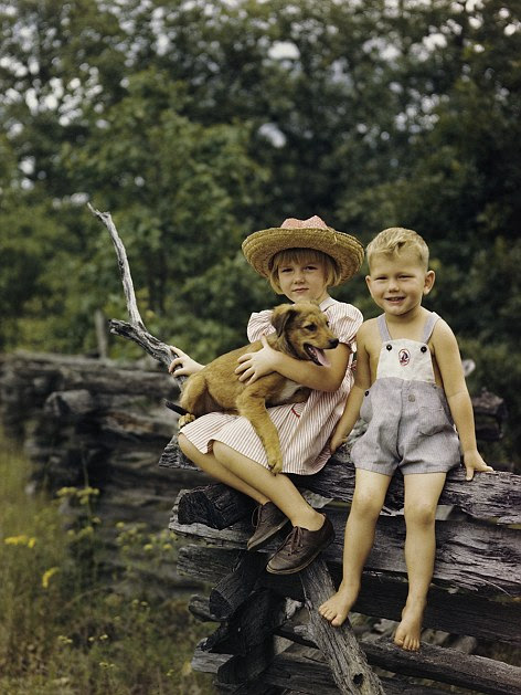 Two children with a puppy sit on an old split rail fence in Missouri in 1946