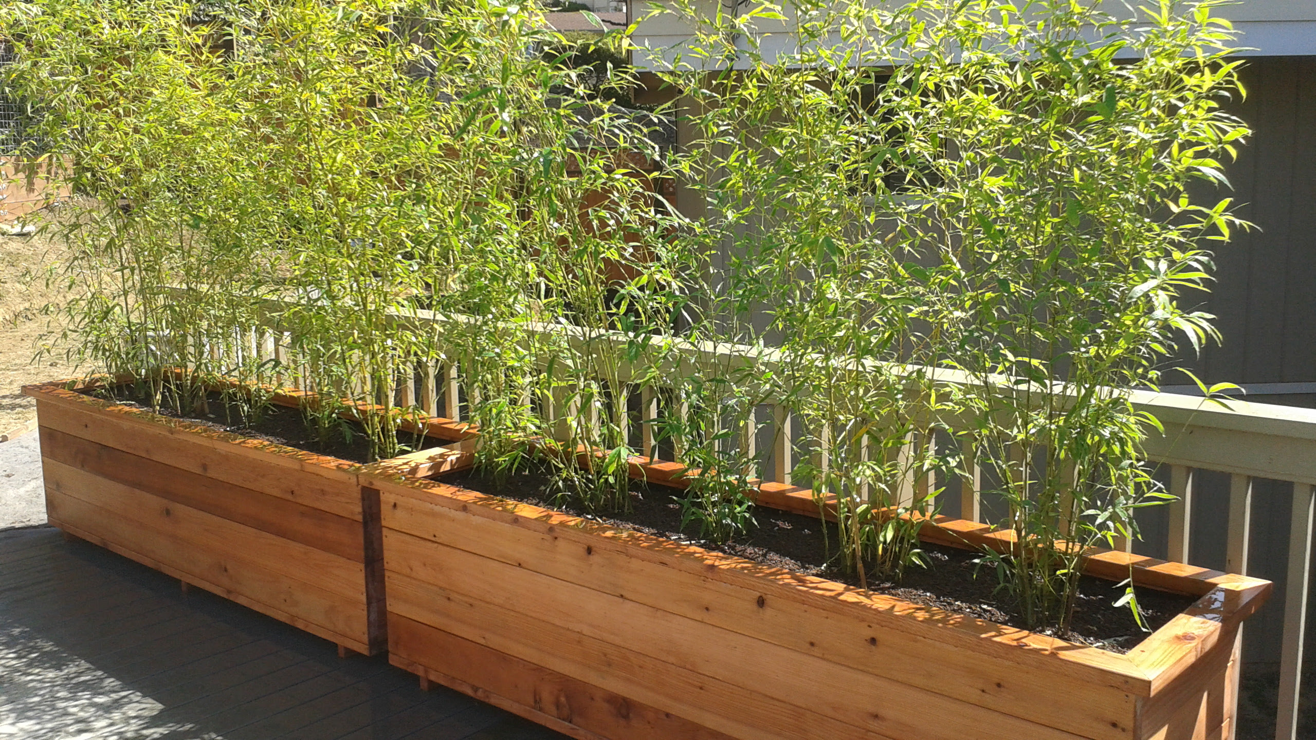 Planter For Bamboo