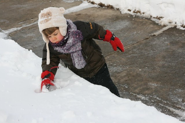 blizzard 2011