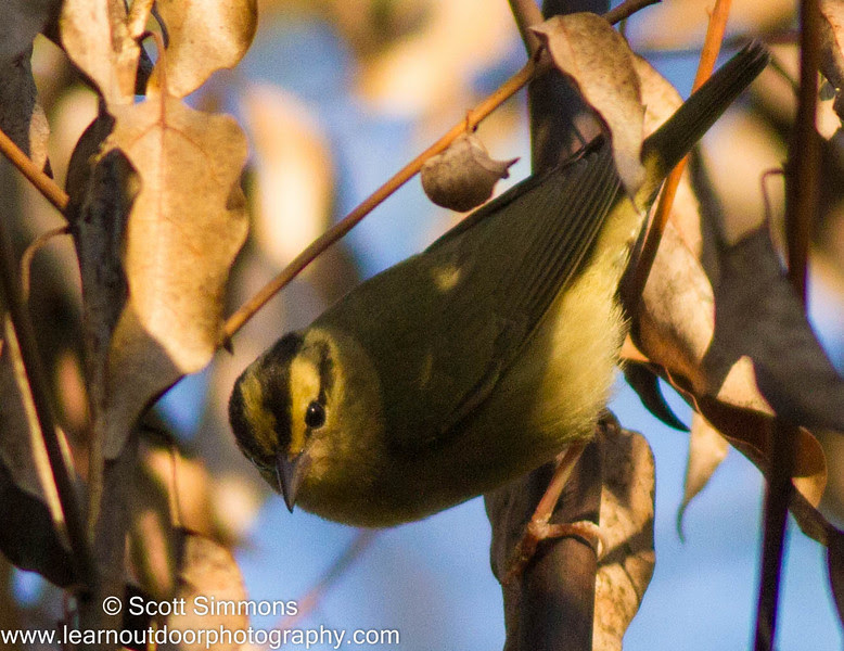 Photo & Video Sharing by SmugMug Photo & Video Sharing by SmugMug