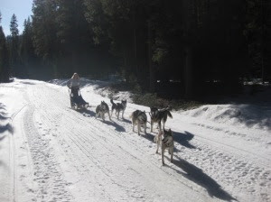 20110213_cw_006