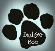 Badger Boo's Daft Adventures