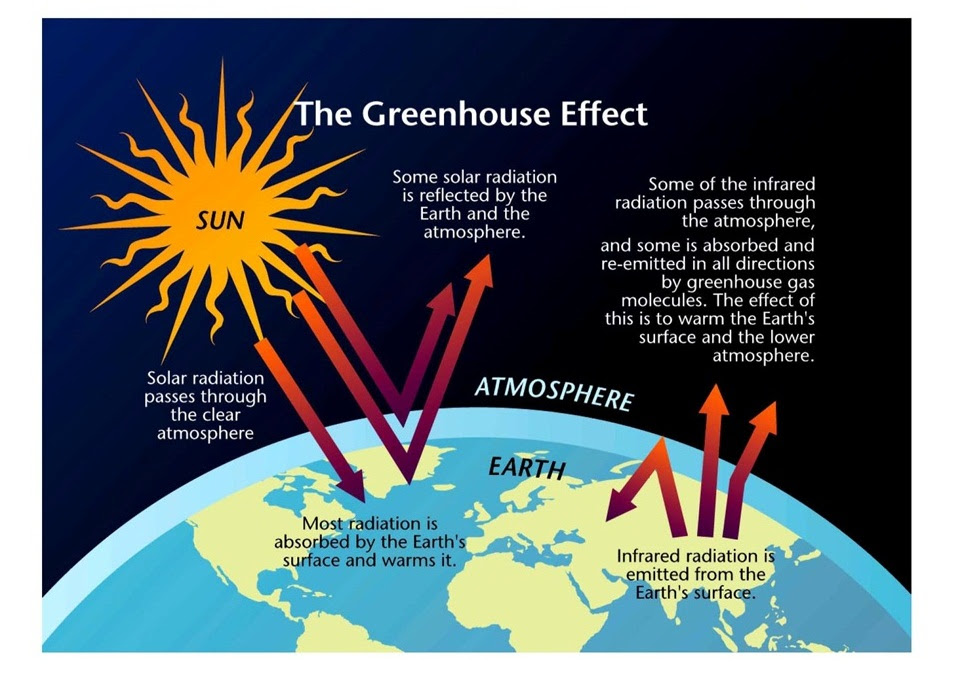 Creative Draw And Label A Sketch Illustrating The Greenhouse Effect 