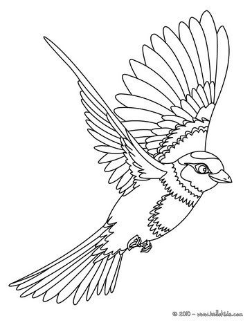 Featured image of post Fliegender Vogel Malen Kinder - In der schlacht im kursker bogen 1943 machten die deutschen zum ersten mal im grossen massstab bekanntschaft mit dem eisernen vogel.