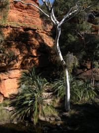 Free Image Hosting at www.ImageShack.us