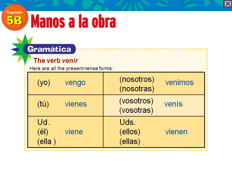 estructura-33-present-tense-of-er-and-ir-verbs-steve