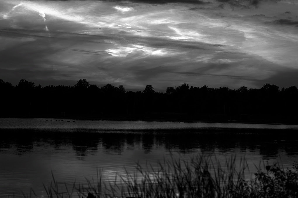 Wild sunset bw | Canon EOS 10D | 1/180 | f/2.8 | 50 mm | ISO 200