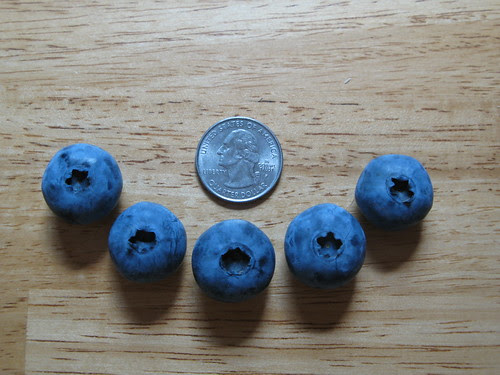 Blueberries!