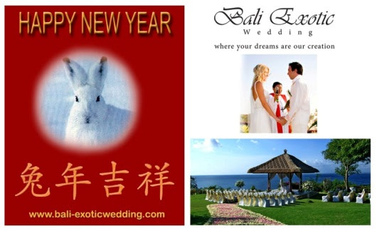 folenaomo969: Happy Chinese New Year Rabbit Image