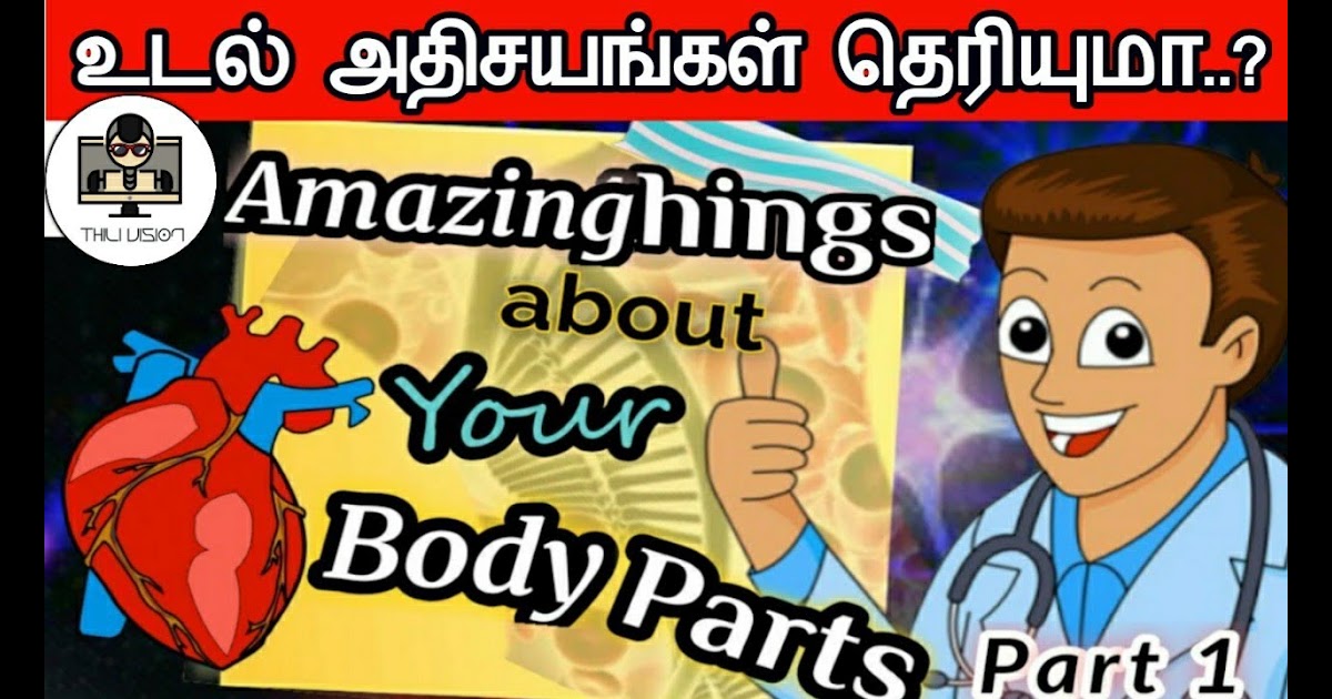 Body Parts Tamil : Body Parts Tamil Name : English Vocabulary: Parts of