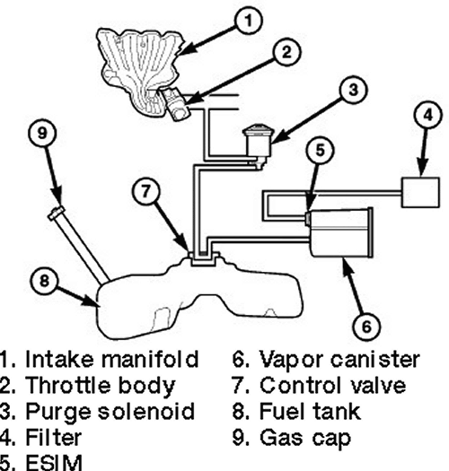 2001 Dodge Dakota Evap System Diagram Wiring Site Resource