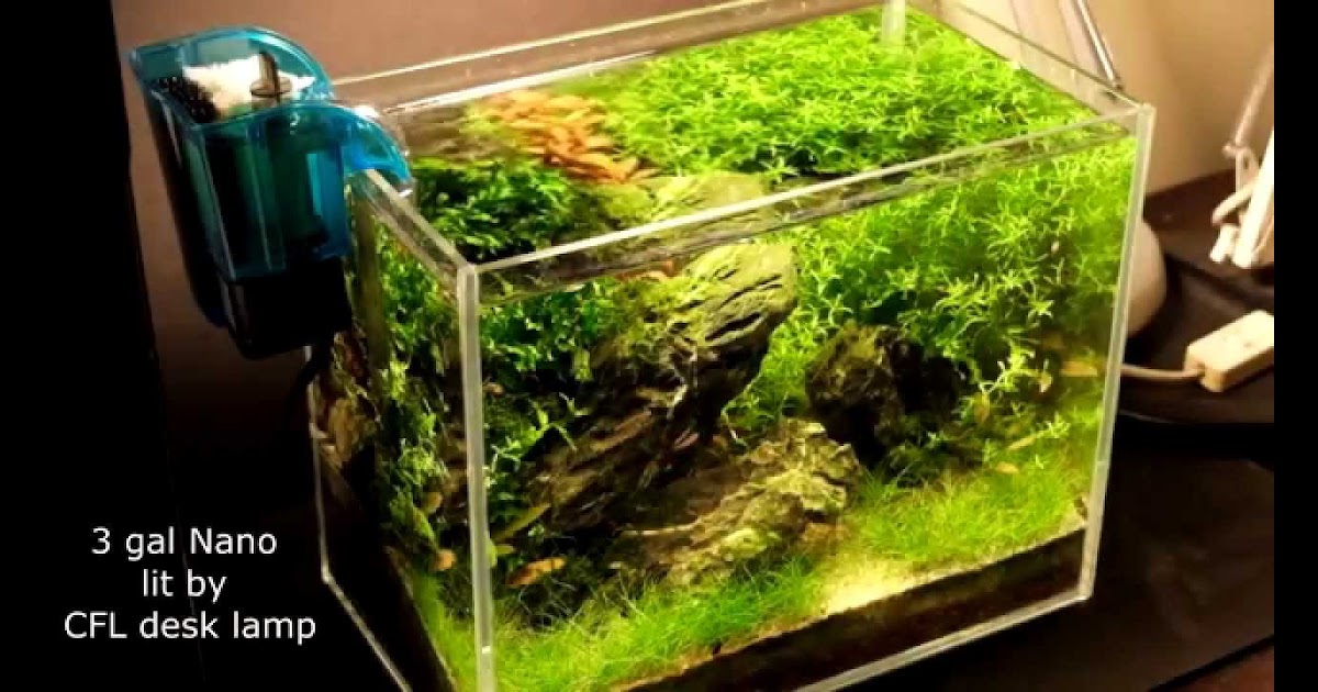 Nano Iwagumi planted tank YouTube - aquascape gallery