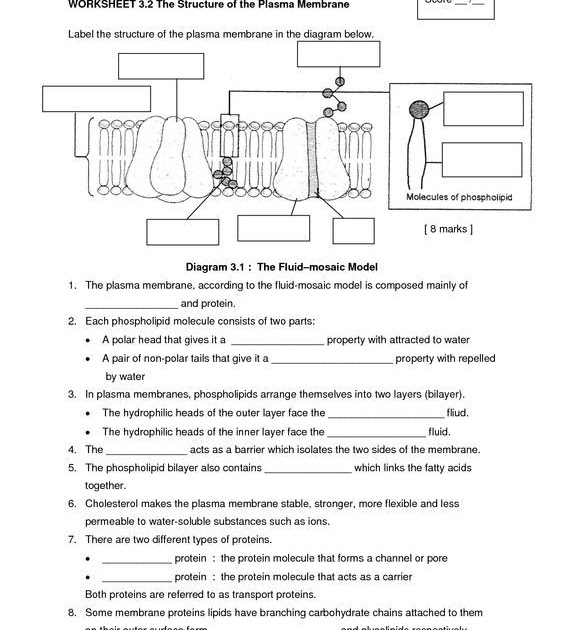 grade 8 cells assignment