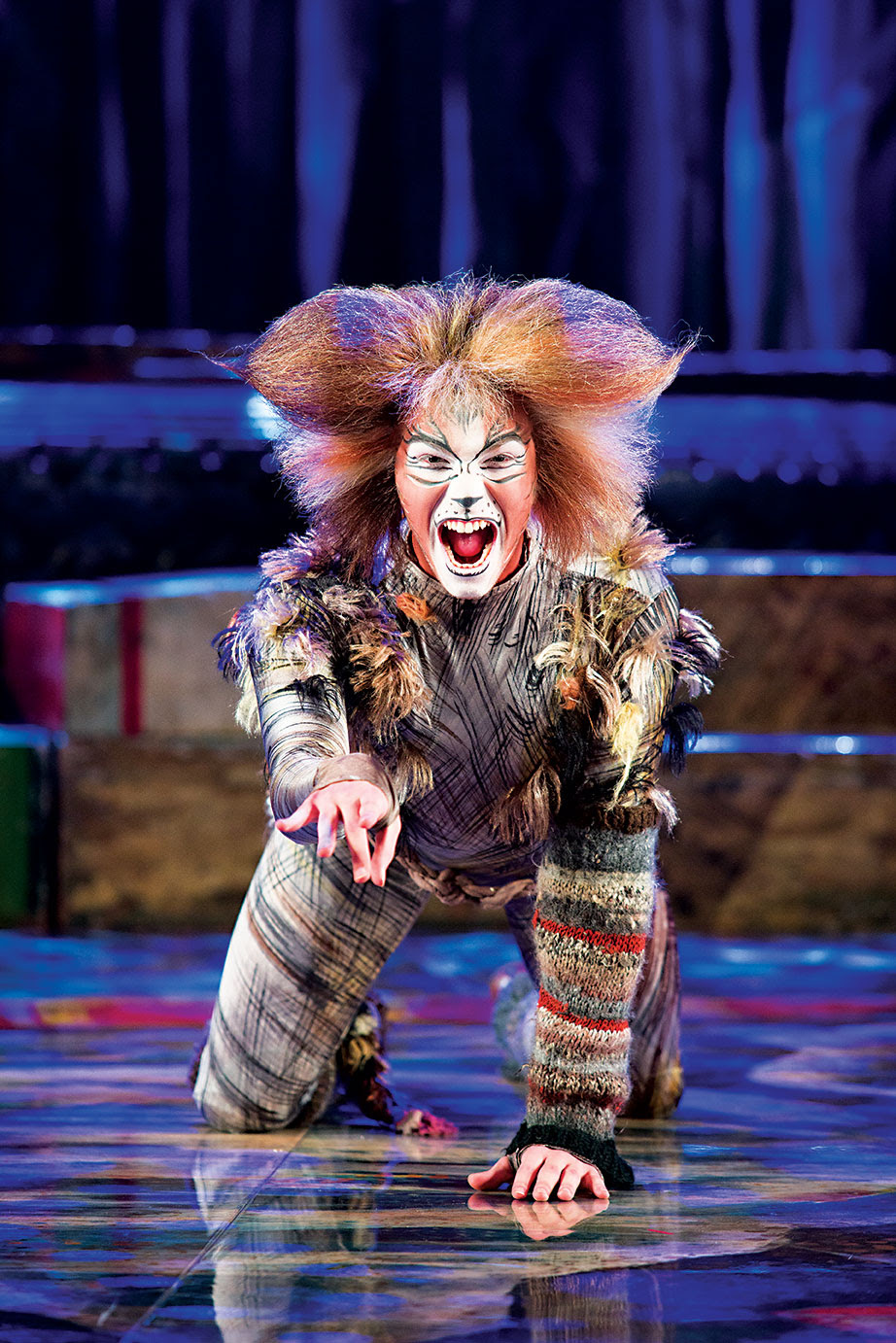 Characters Of Cats The Musical With Picture