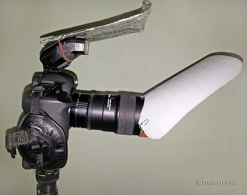 Melvyn's macro rig, more macro rigs 20121217_233132-copy