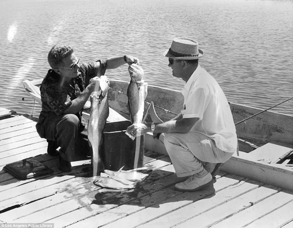 Officials also introduced fish to the lake to create an opportunity for fishing, and by the late 1950s the Salton Sea had become the most productive fishery in the state fully establishing itself as a tourism destination. Pictured above are two men fishing in the Salton Sea during the 1950s