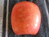 Apple2