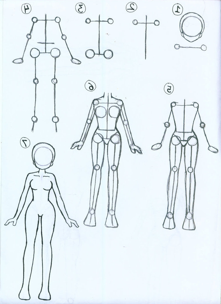 How To Draw Anime Body Proportions How To Wiki
