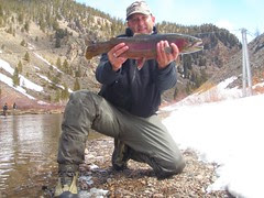 bigbow66