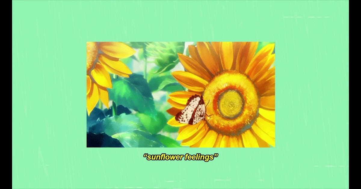 lofi