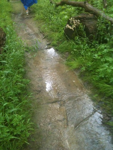 photo.JPG