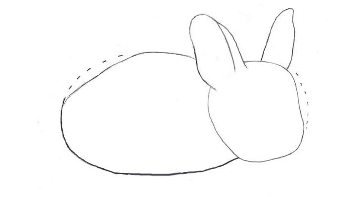 كيف ارسم ارنبا