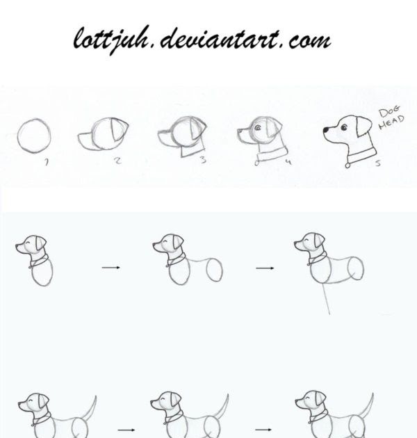 How To Draw Cartoon Dog Step By Step - TOKHOW