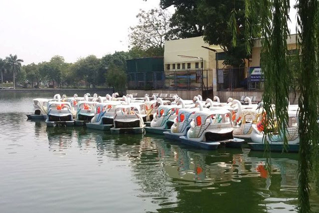 Nữ giáo viên thuê thuyền thiên nga ra giữa hồ tự tử - 1