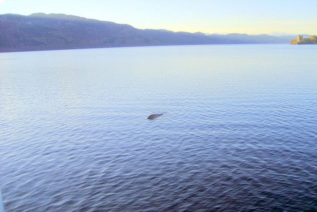 Evidence? Mr Edwards' picture that he claims proves the existence of Nessie