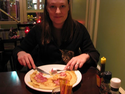 Dining with my kitty friend