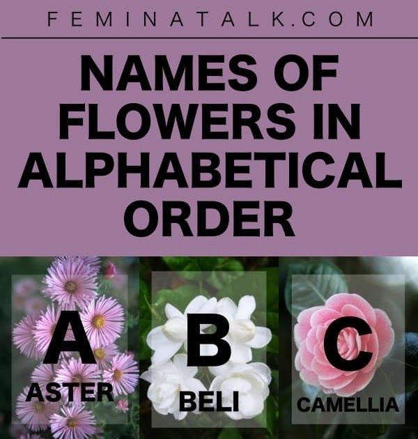 Names Of Flowers In Alphabetical Order Pregnancy Test Kit