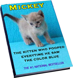 Mikey the Kitten