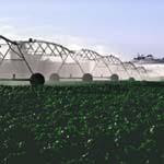 irrigation2