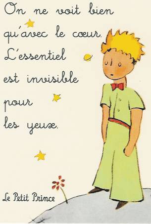 LE PETIT PRINCE
