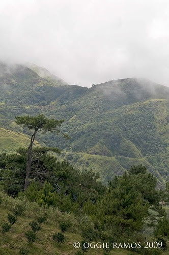 Nueva Vizcaya Salacsac Trail Lone Tree
