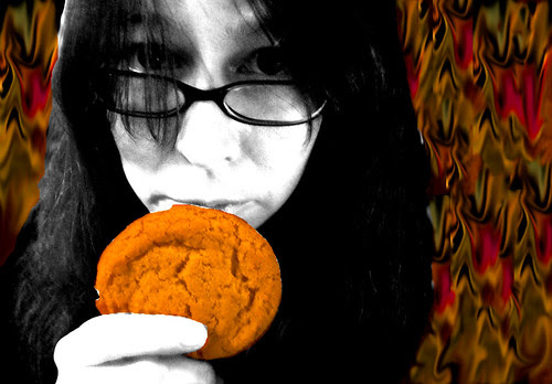 230: I can't has a cookie?