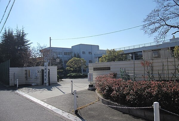 ファッショントレンド ユニーク奈良 女子 大学 文学部
