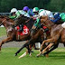British Horseracing Board wins appeal by a nose