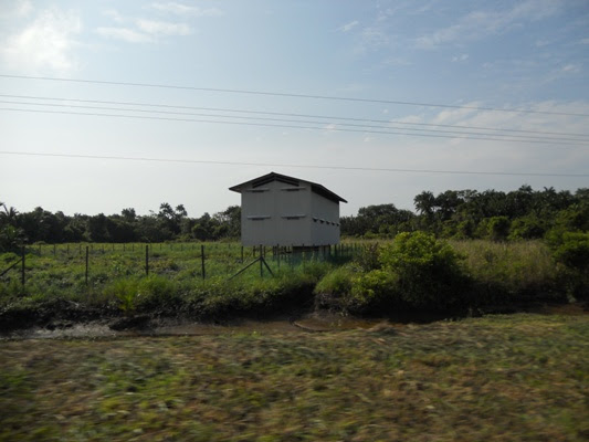 Rumah Sarang Burung kos rendah