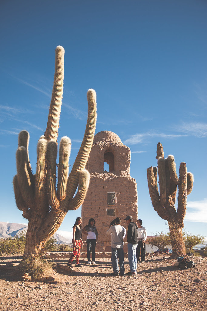 The Saguaro Cactus Argentina Jujuy Province Humahuaca The Saguaro Cactus Argentina Jujuy Province Humahuaca