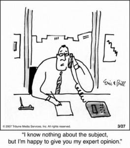 expert opinion