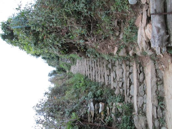 Photos of Cinque Terre Trails, Cinque Terre