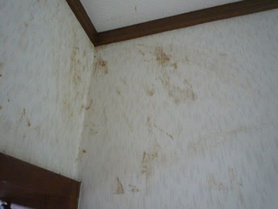 すべての美しい花の画像 壁紙 茶色 汚れ 落とし方