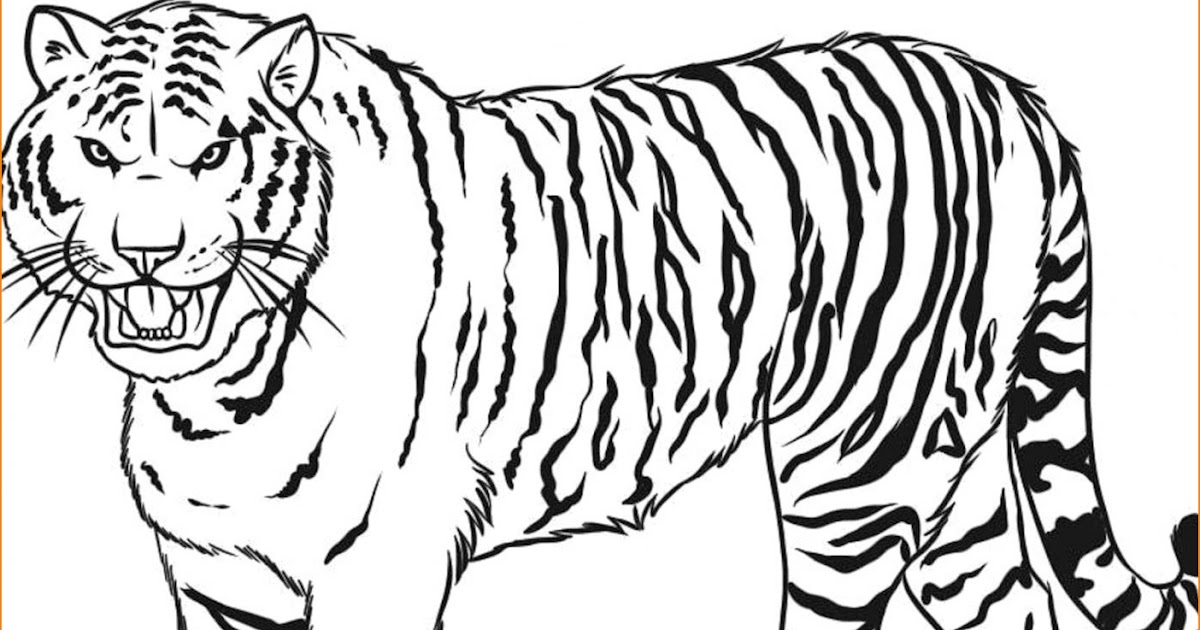 33++ Gambar Pola Binatang Kartun - Kumpulan Gambar Kartun